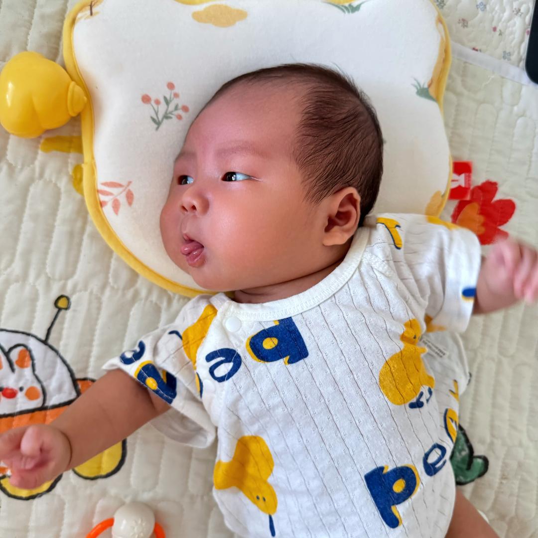 爱小新的美伢🤱🏻