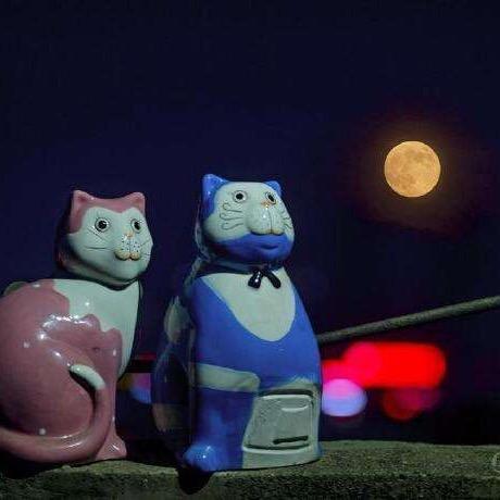 九头猫精ou