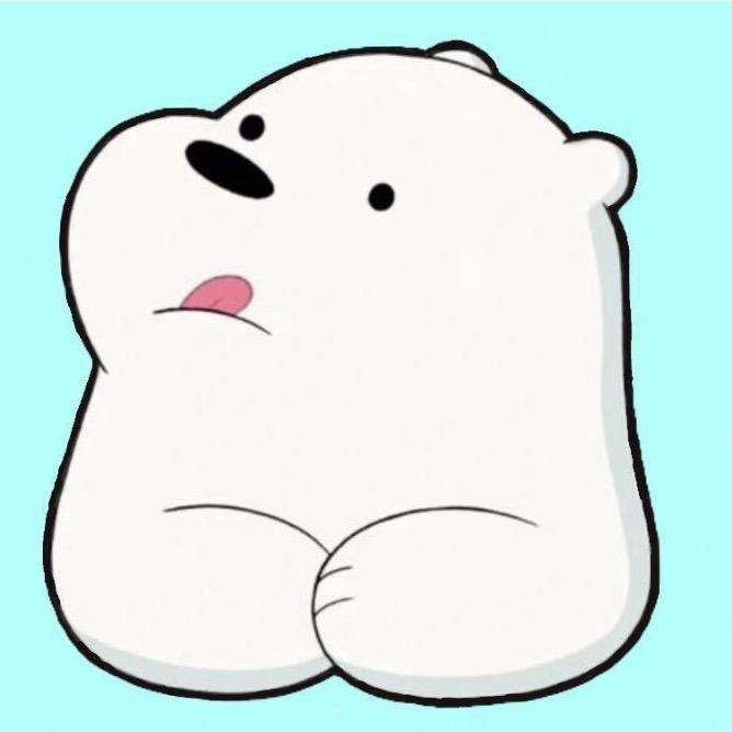 白熊网络小韩