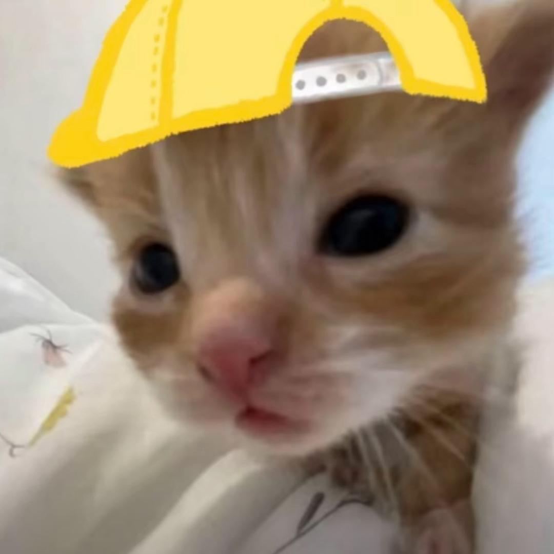 欧巴