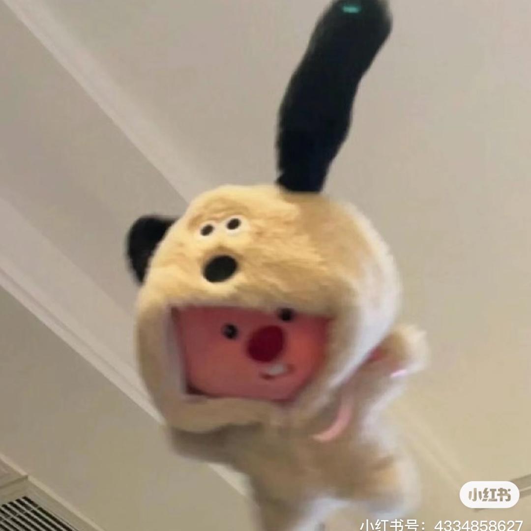 橙子味的小草