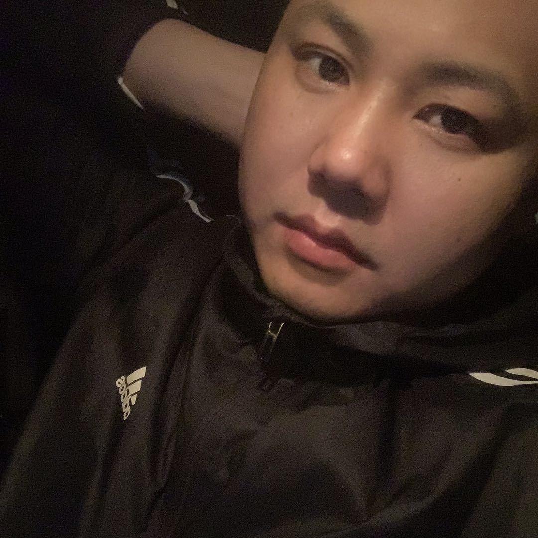 刘的青山在