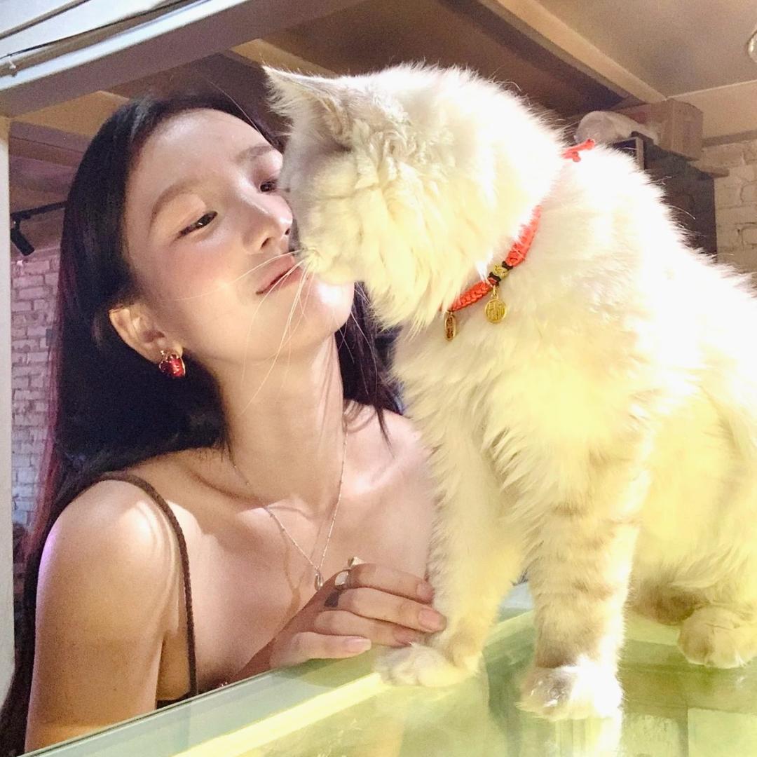 我奶常扇赵子龙^_^