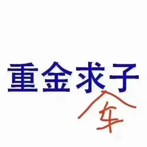 发海收售二手车