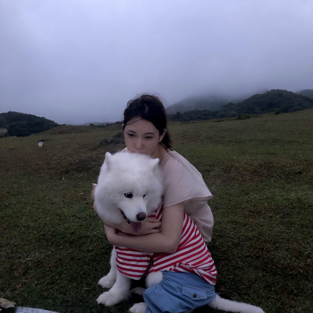 小牛🐮