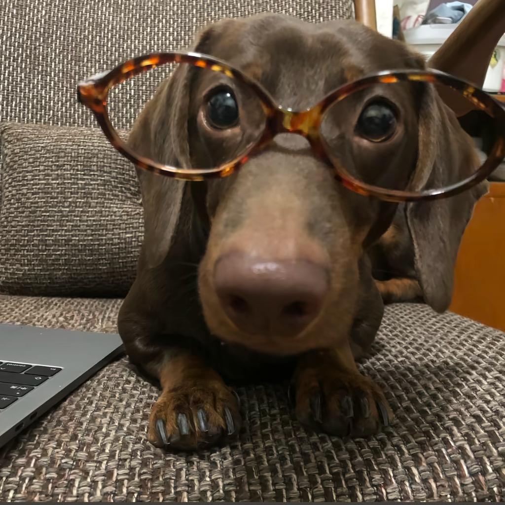 去码头整点老干妈