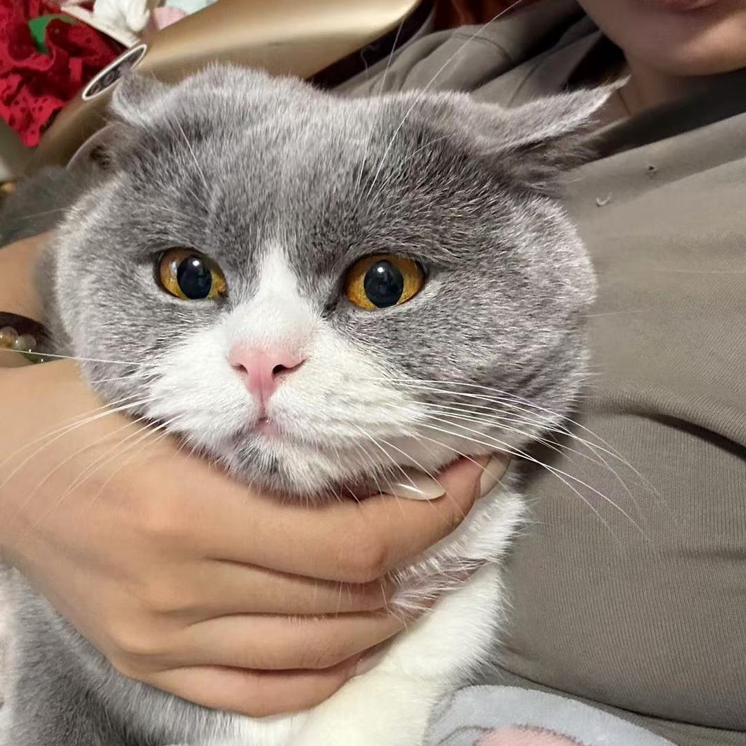 用户2257648877945美人日记