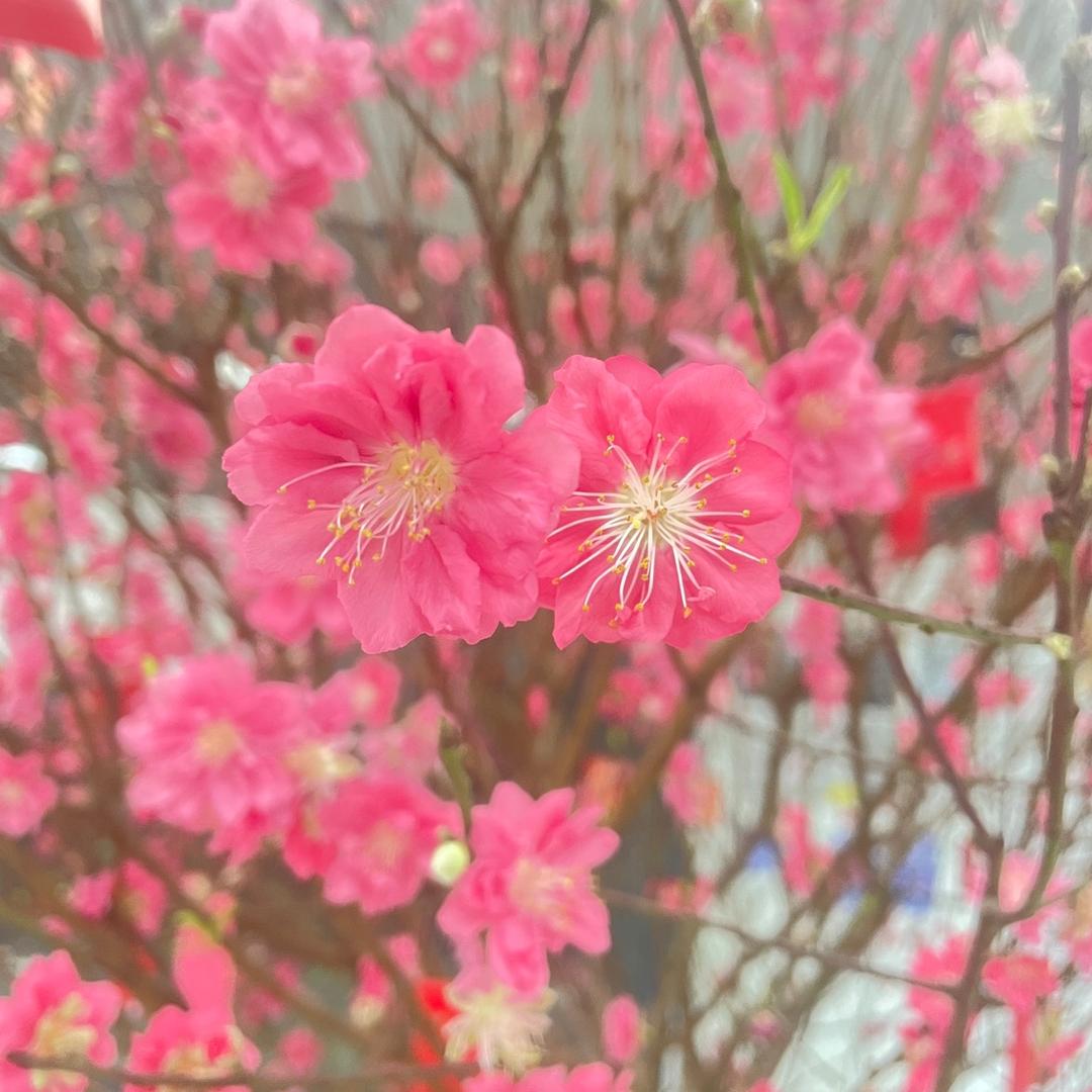 W_未来