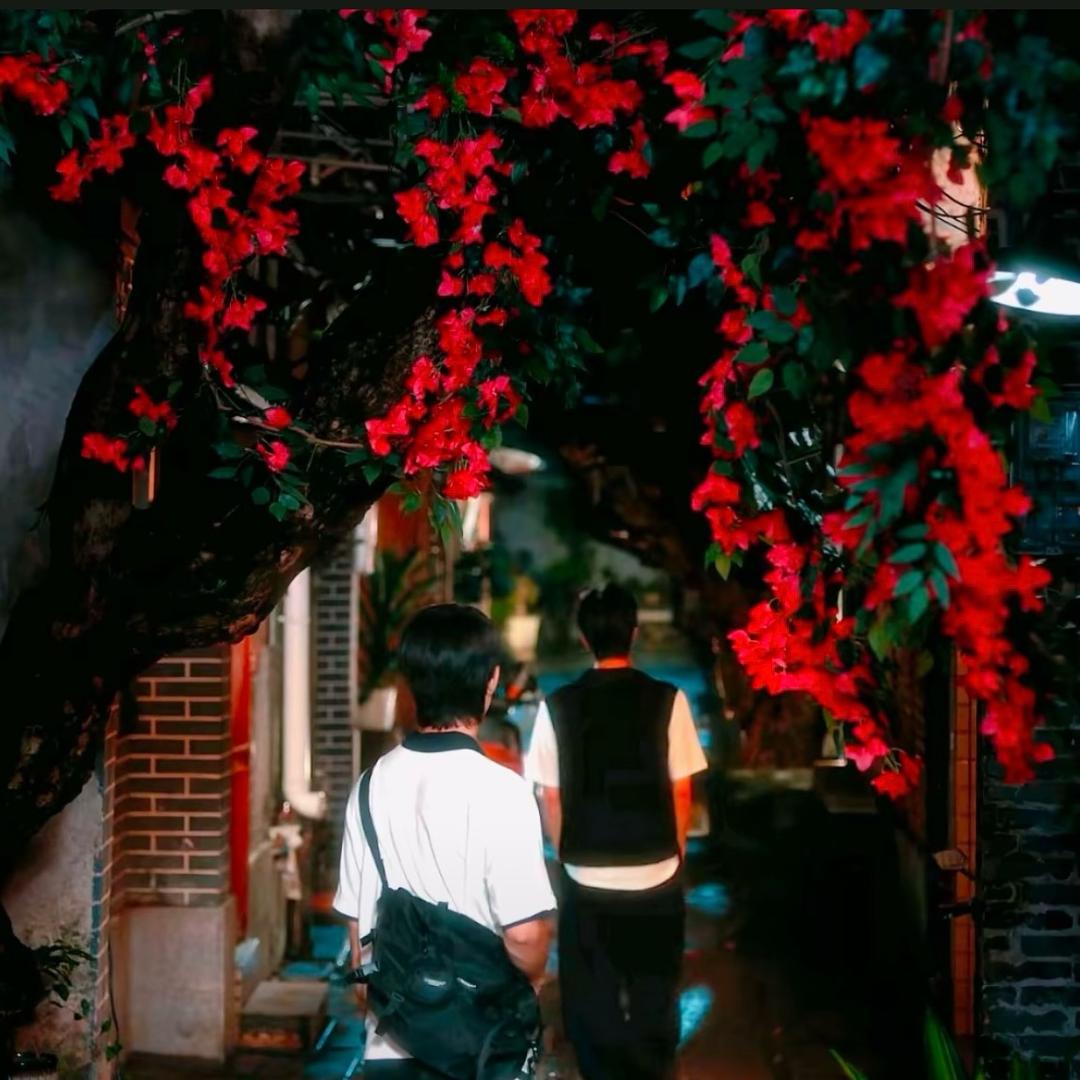 西域曼陀罗兰加洛斯