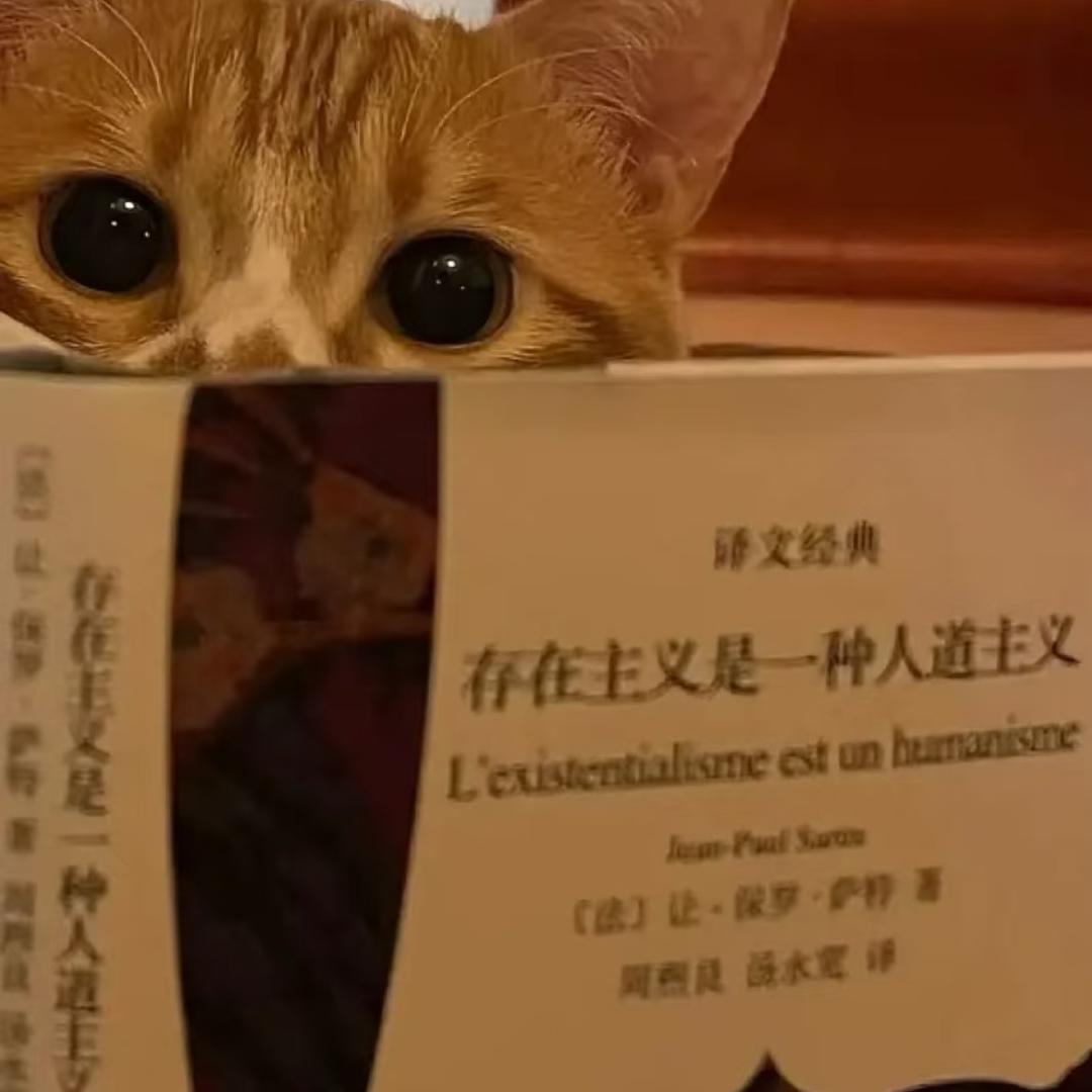 纯粹人参公鸡