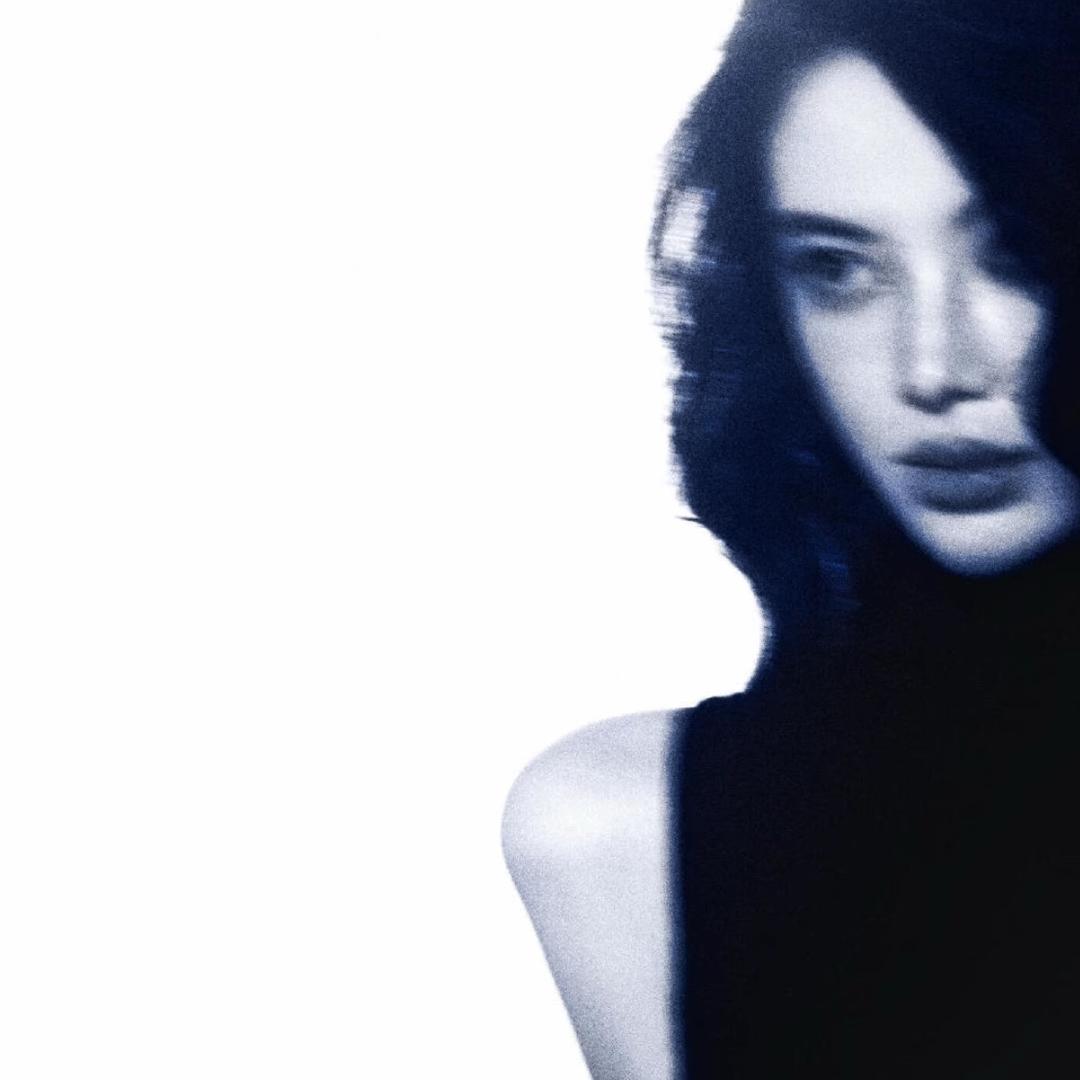 03 　　   　　　 　　🪳