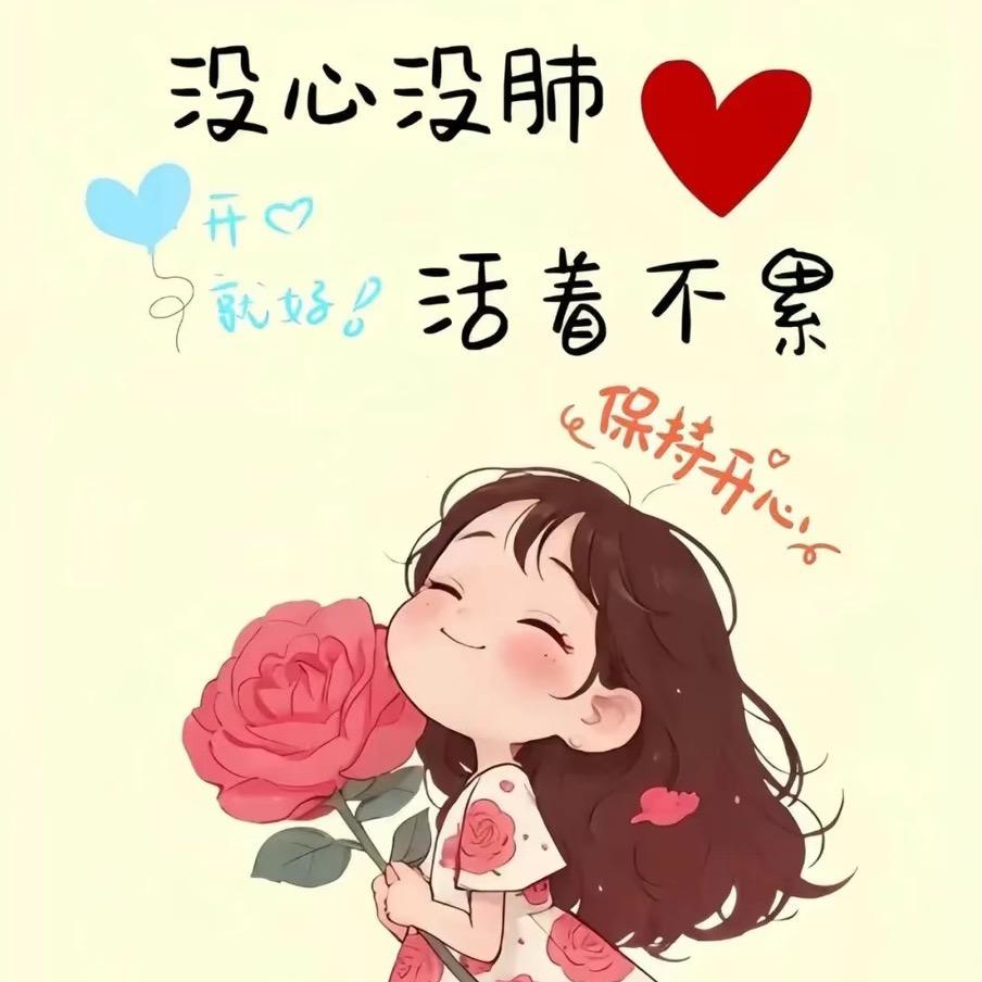 ✨夏✨宝✨