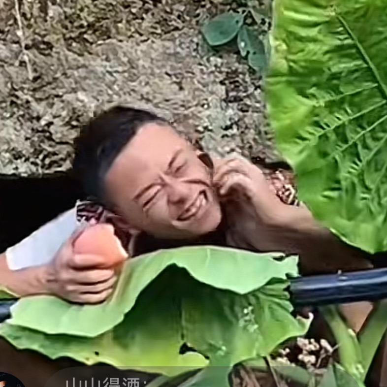华仔客家（体力）