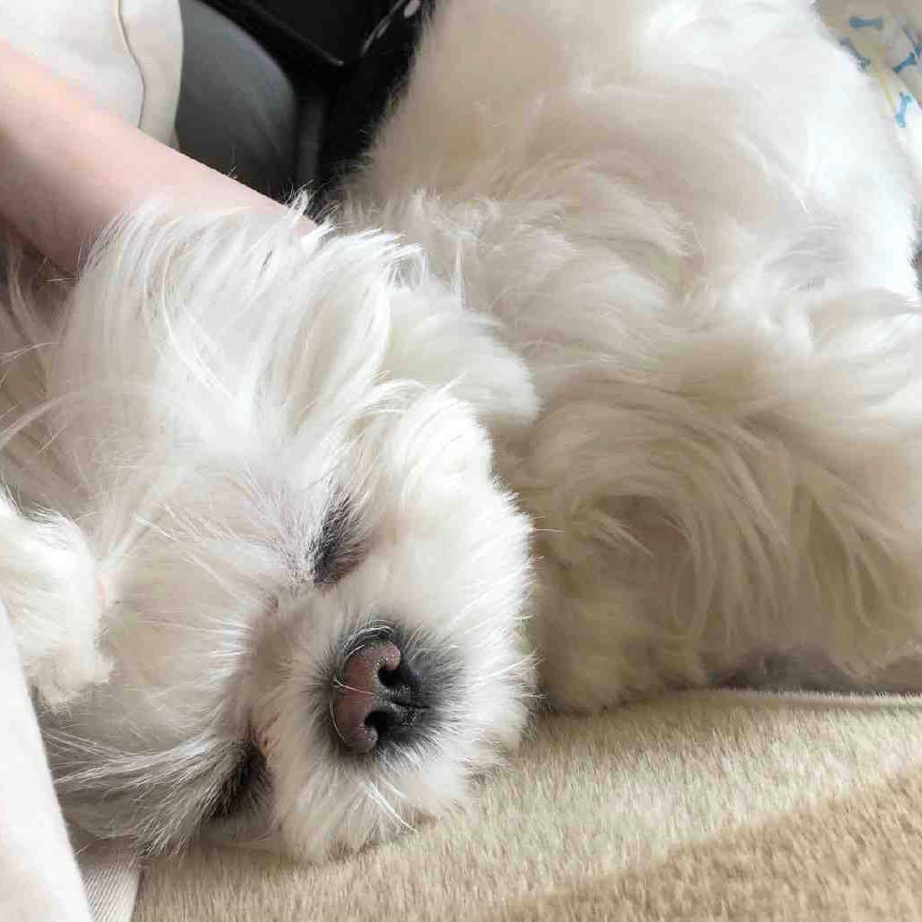 babybalala