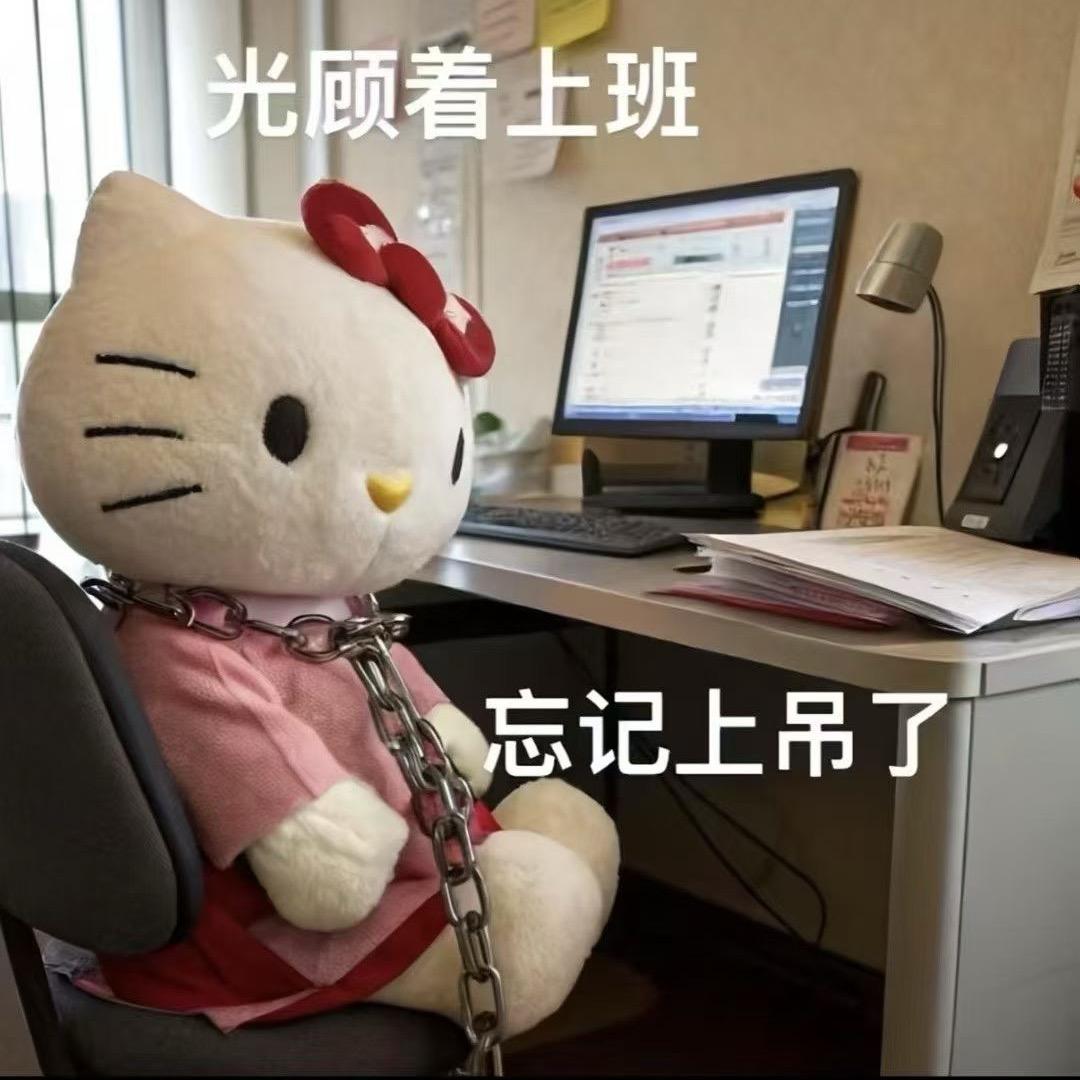 菲菲公主