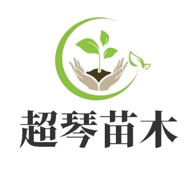 超琴果树苗木专营店