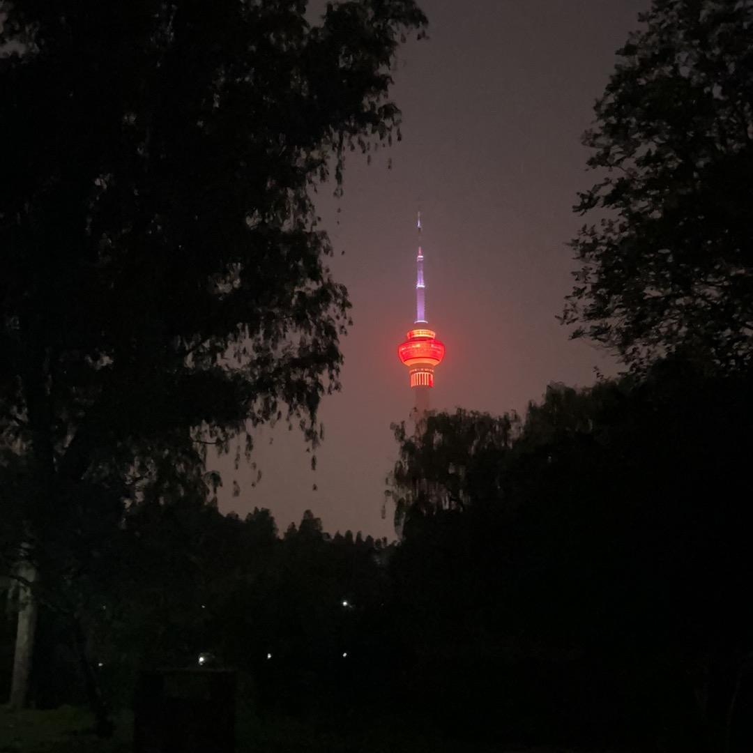 王洪东
