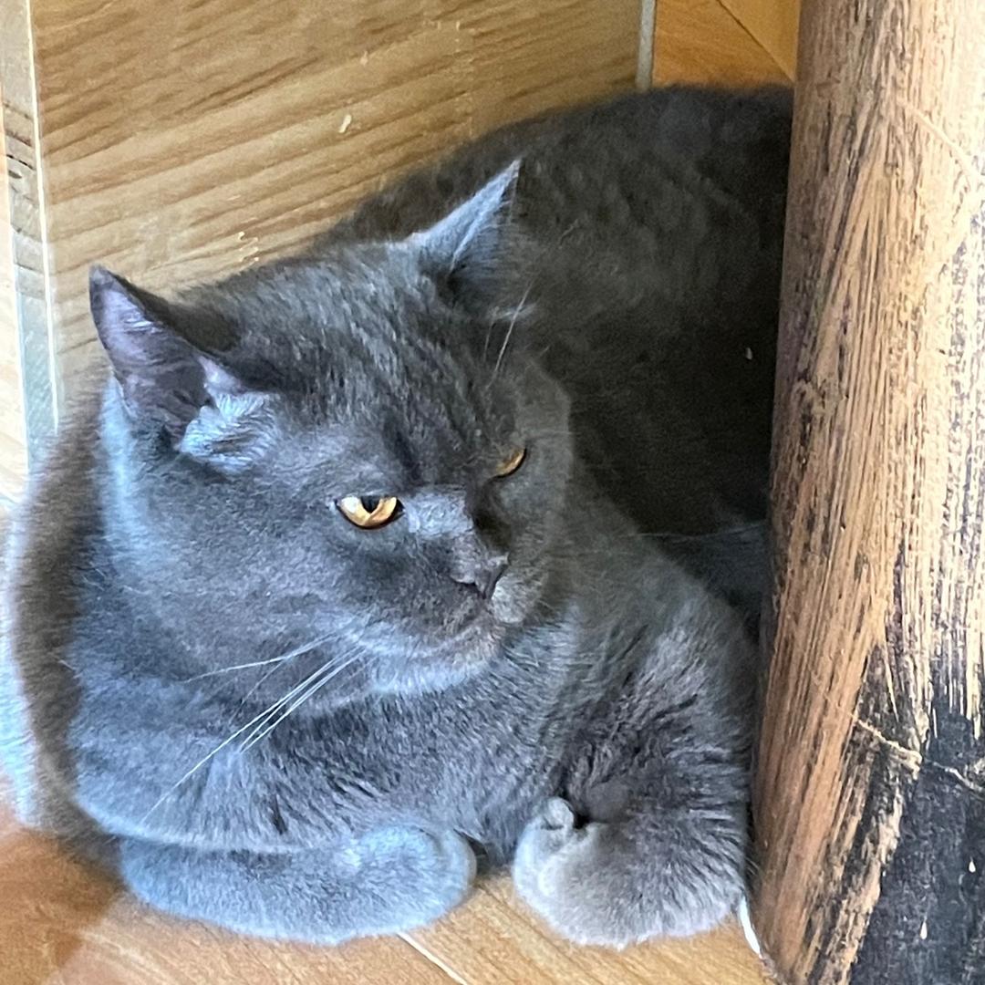 194的耗子🐭🐭