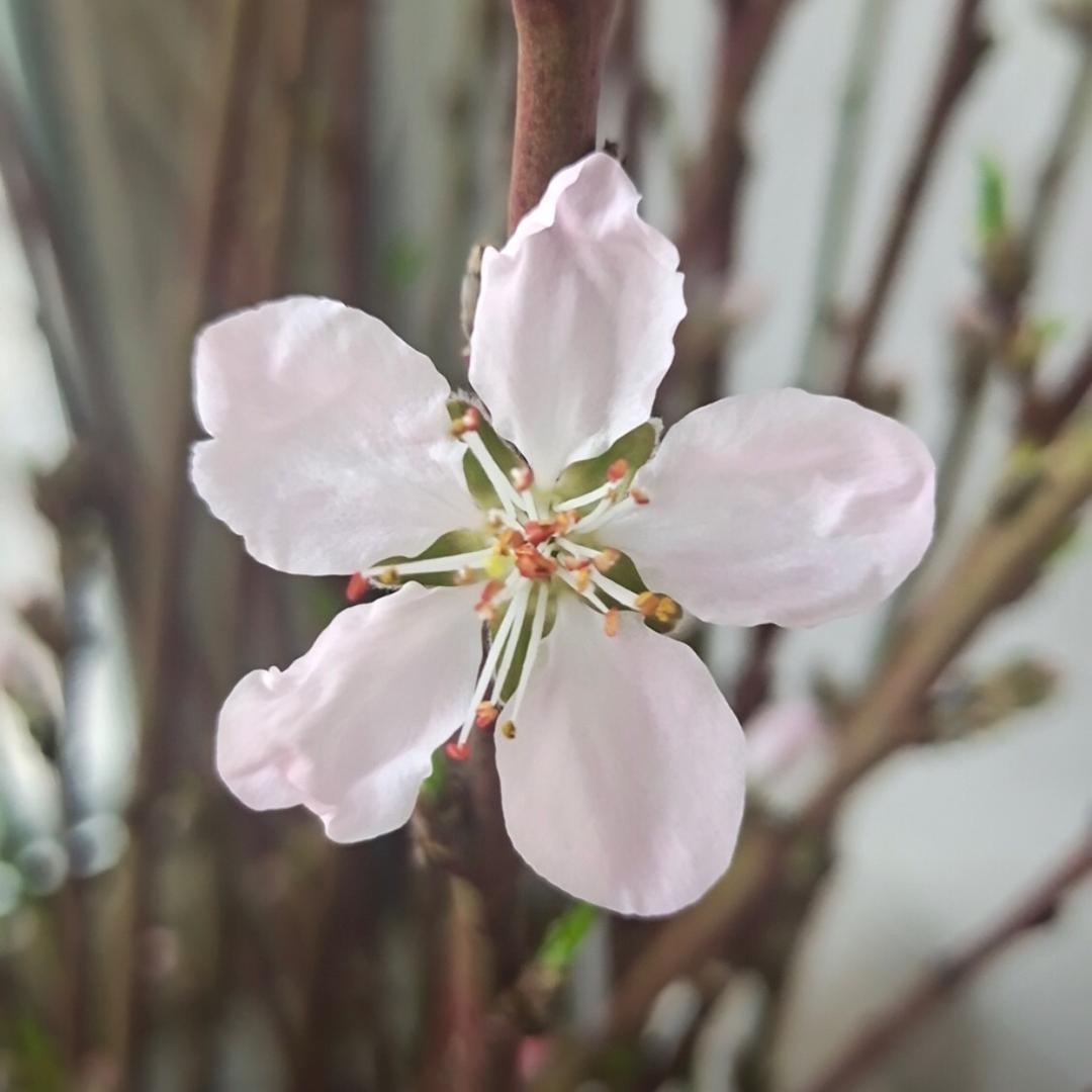 小时光
