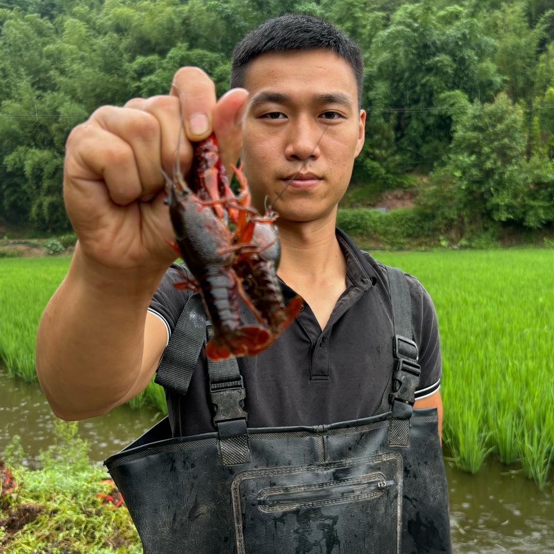 鑫先生☞小龙虾