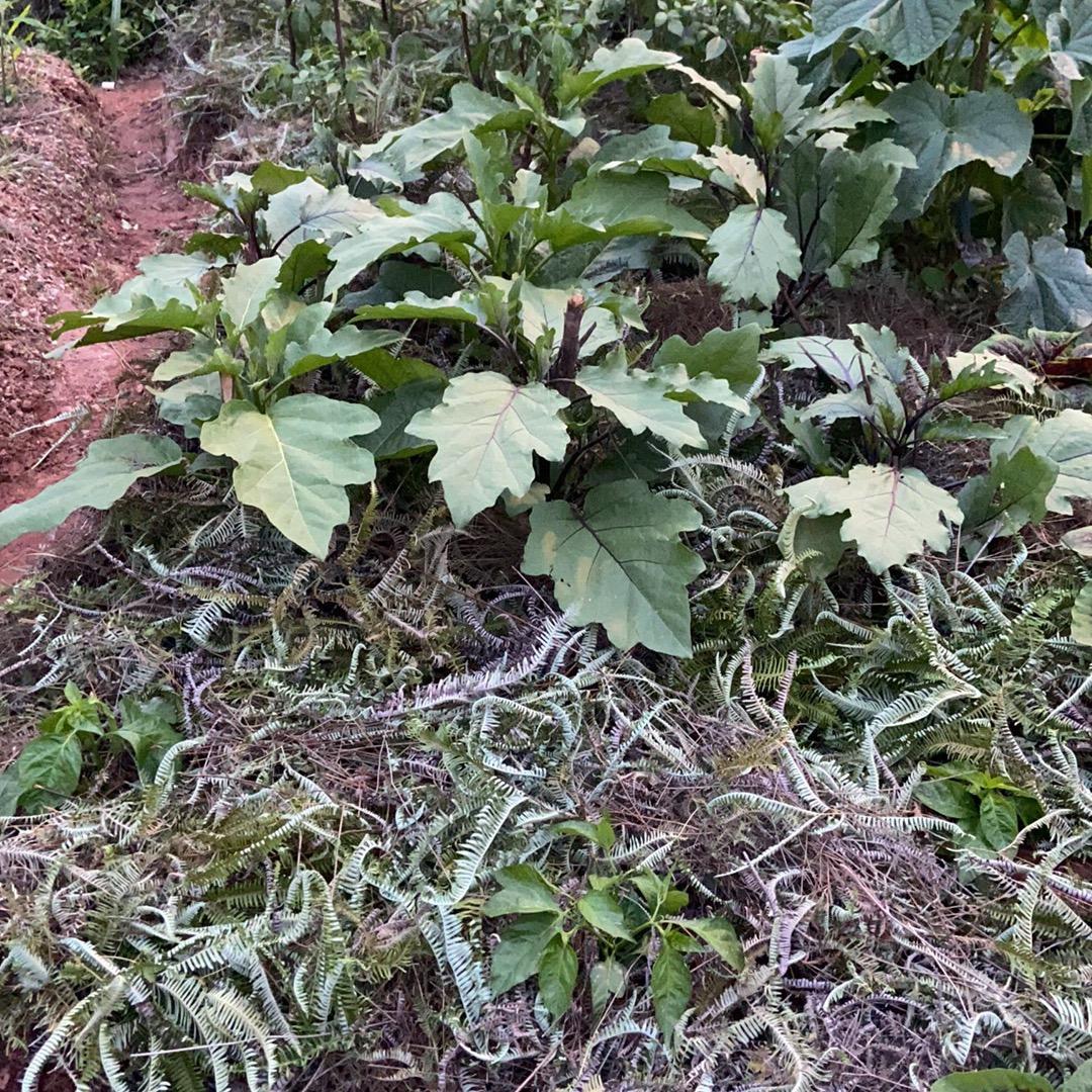 今生有缘