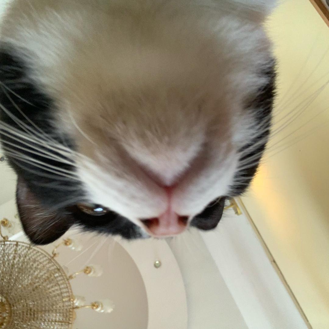 小小爱哭鬼