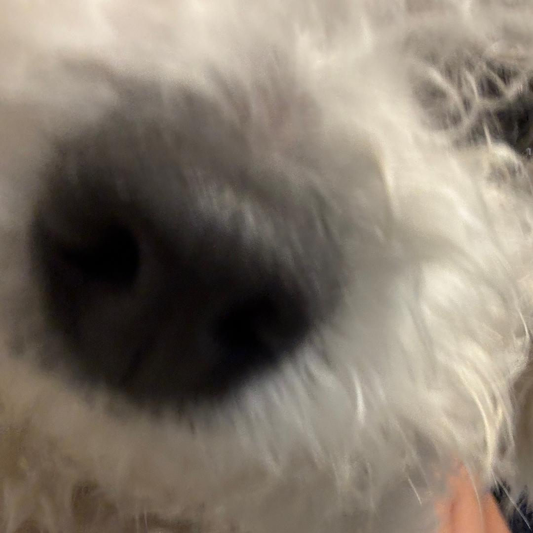 我是Burger（宝哥