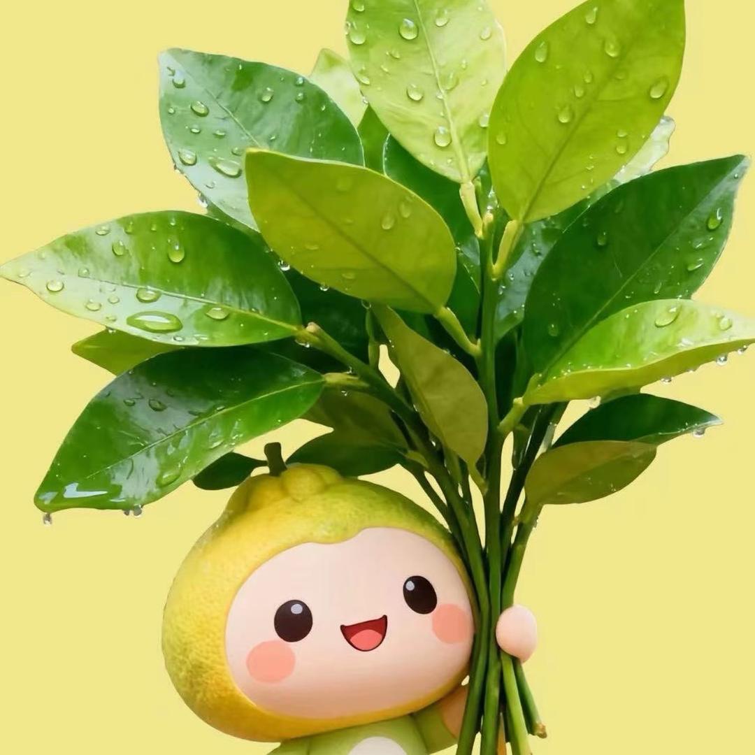 ༄梁࿆ྂঞꪶ𝖎ꪖྀꫛᧁ᭄