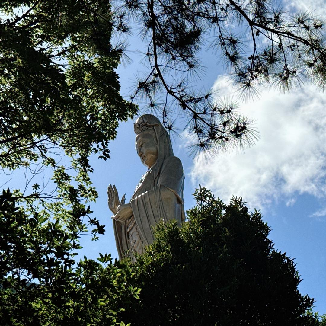 🍃🐾 Ainiジiao 🍃