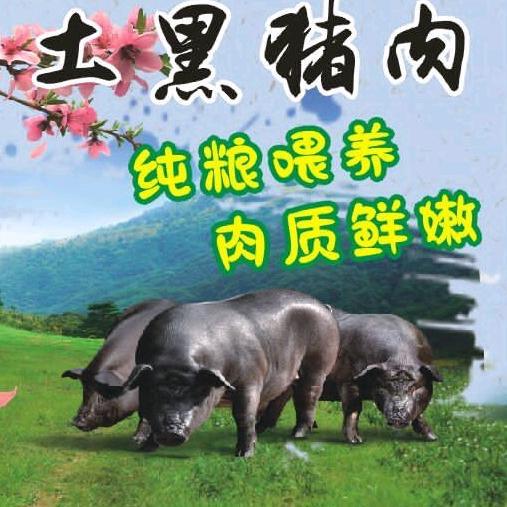 沪归农土猪肉亮竑
