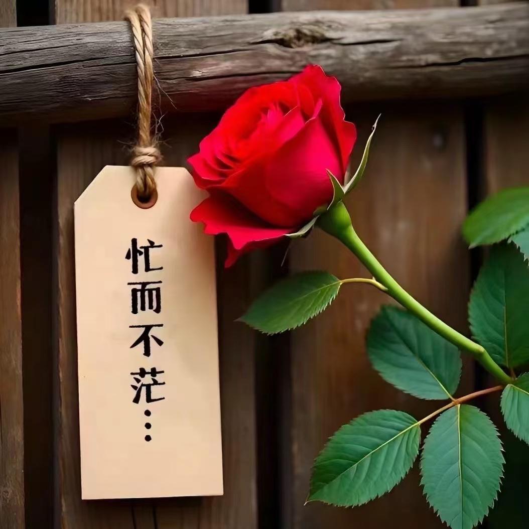 艾颜·手工穿戴甲