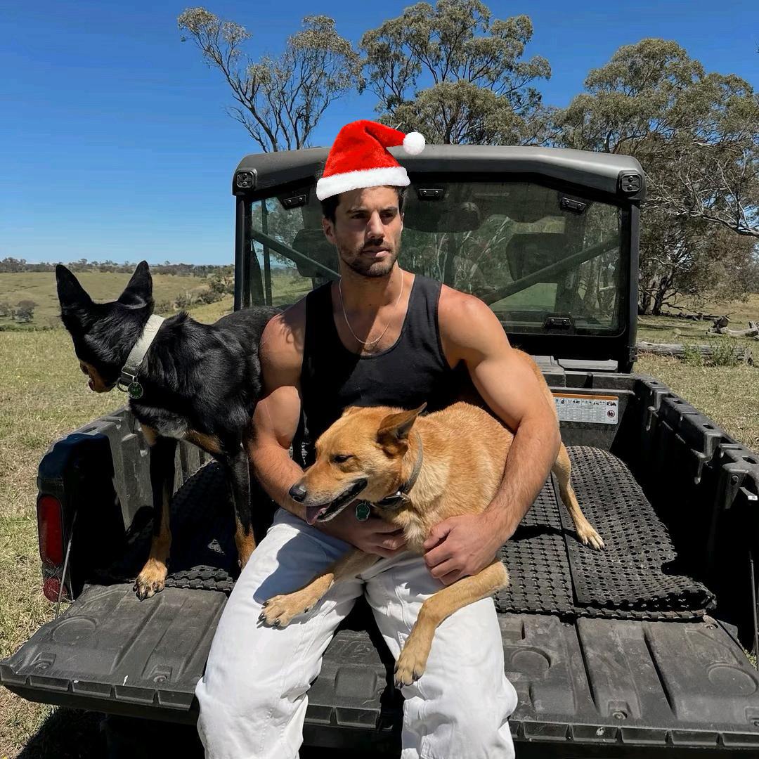 你猜我有没有鲨鱼肌