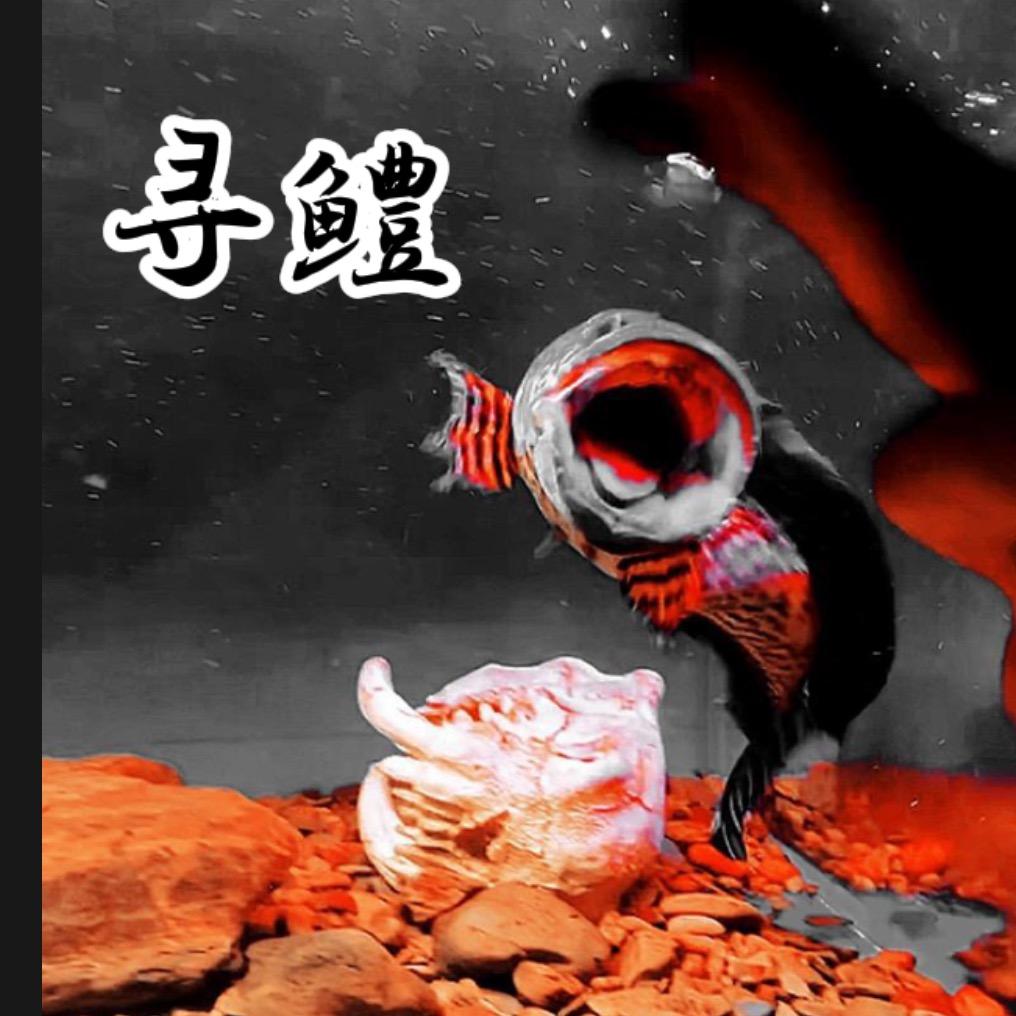 寻鳢