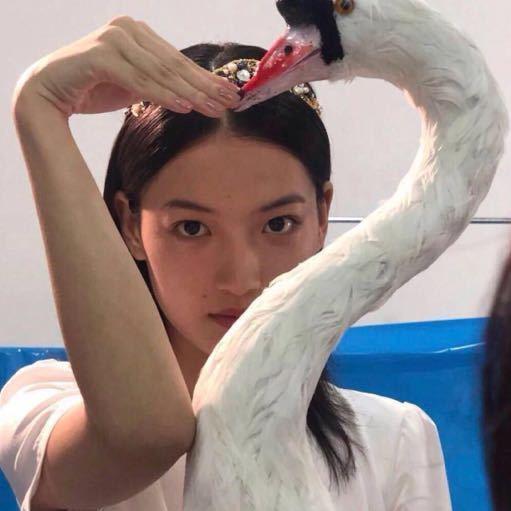 迢迢