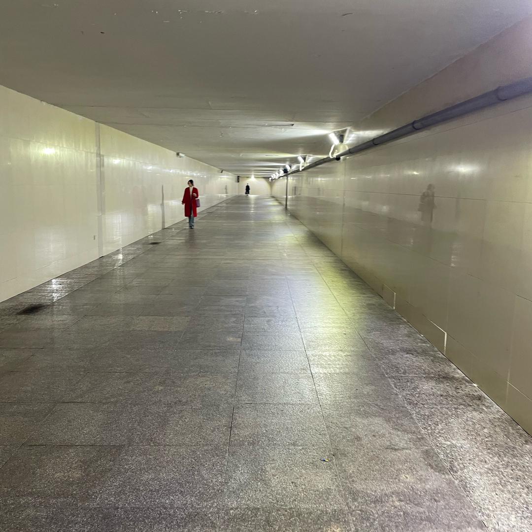 小白努力中（自律版）