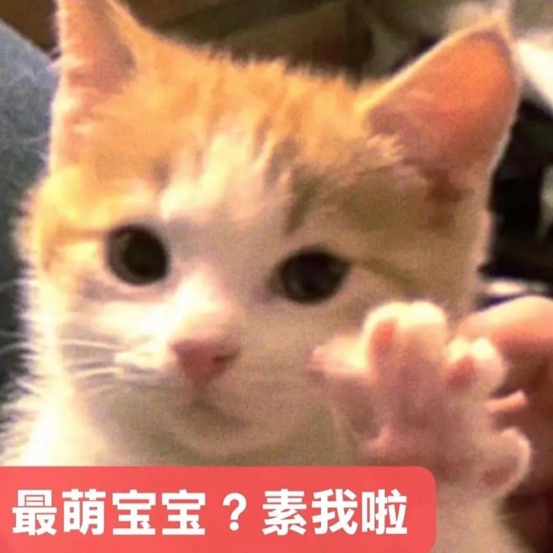 我不吃了