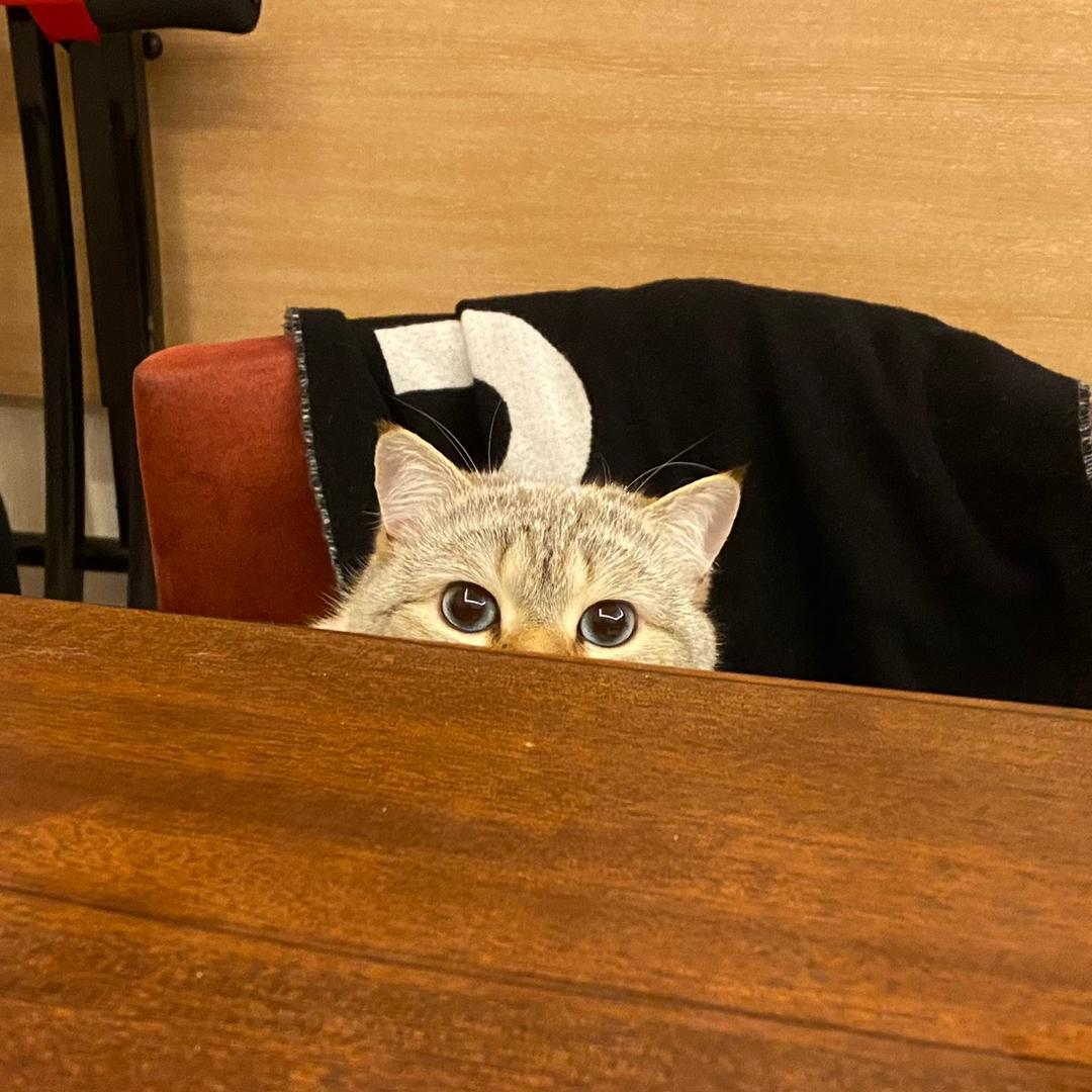 西瓜丸奶