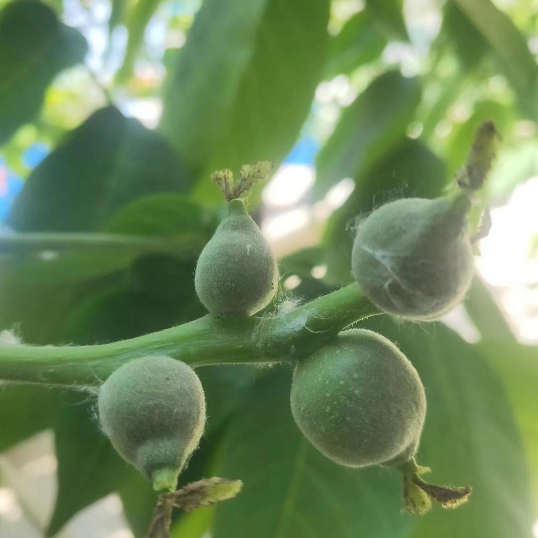 美核工坊特色物件小铺子