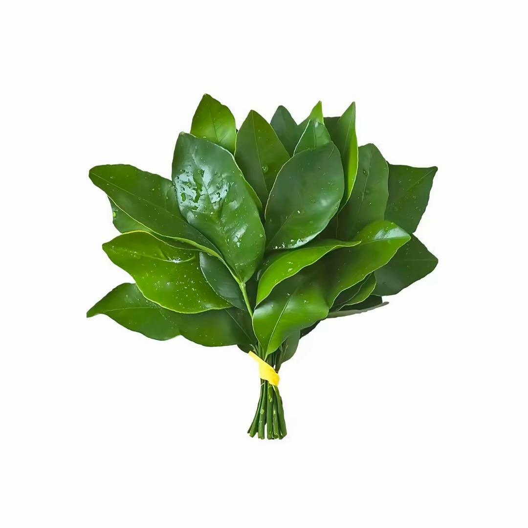 阿葵