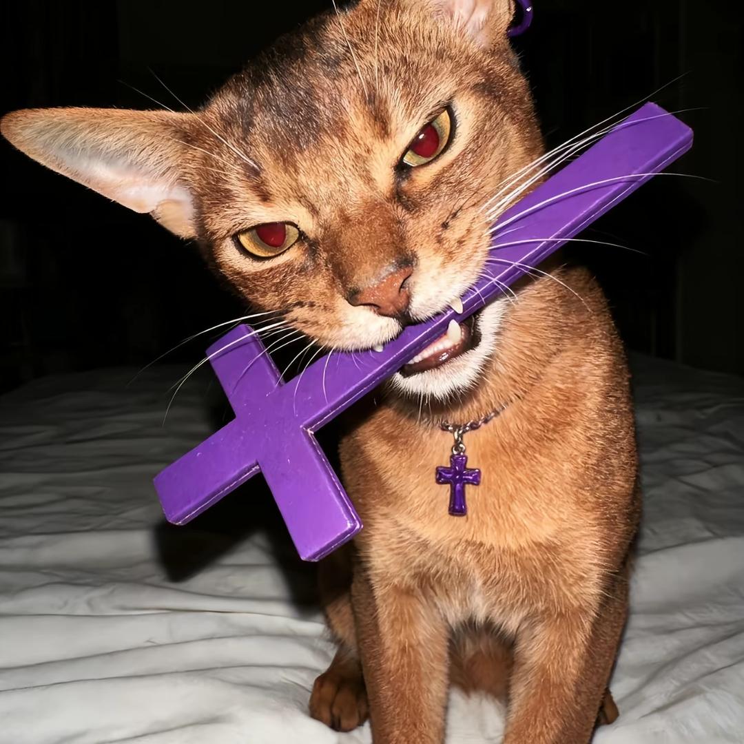 x:)
