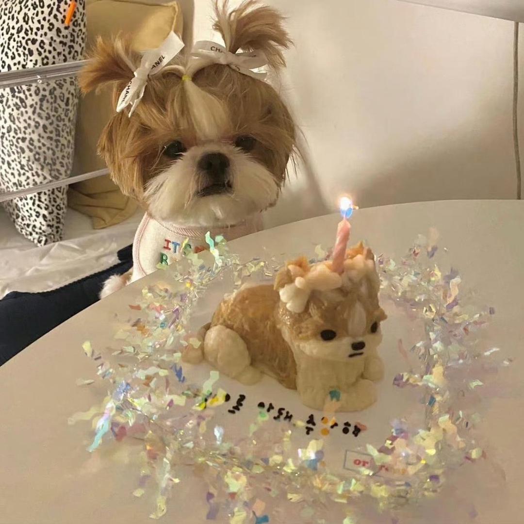 我做的饭很好吃