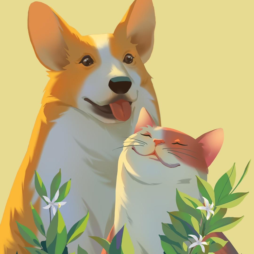 溢值宠宠物用品专营店