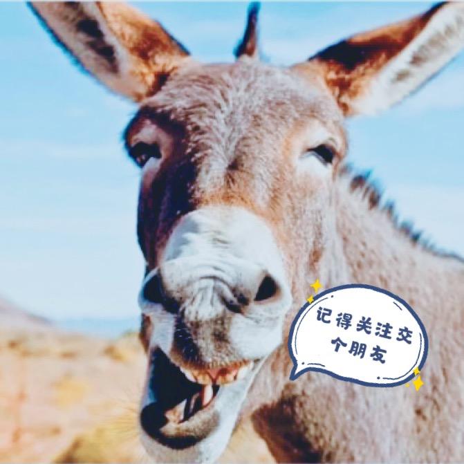 懒驴•爱生活