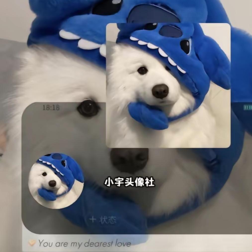 宝儿！