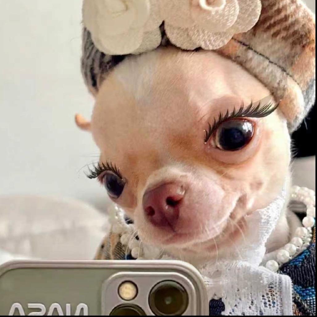 性感母蟑螂🪳