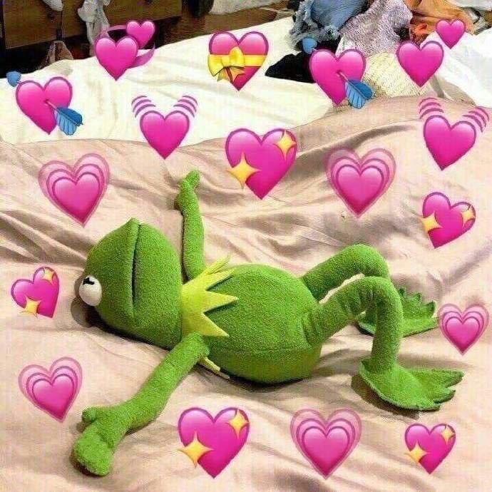 老王的小可爱💓