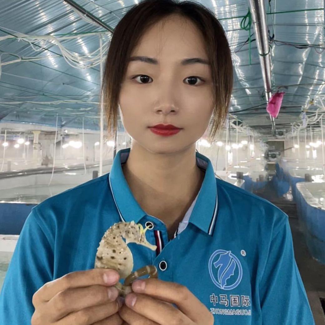 养海马的小蕾