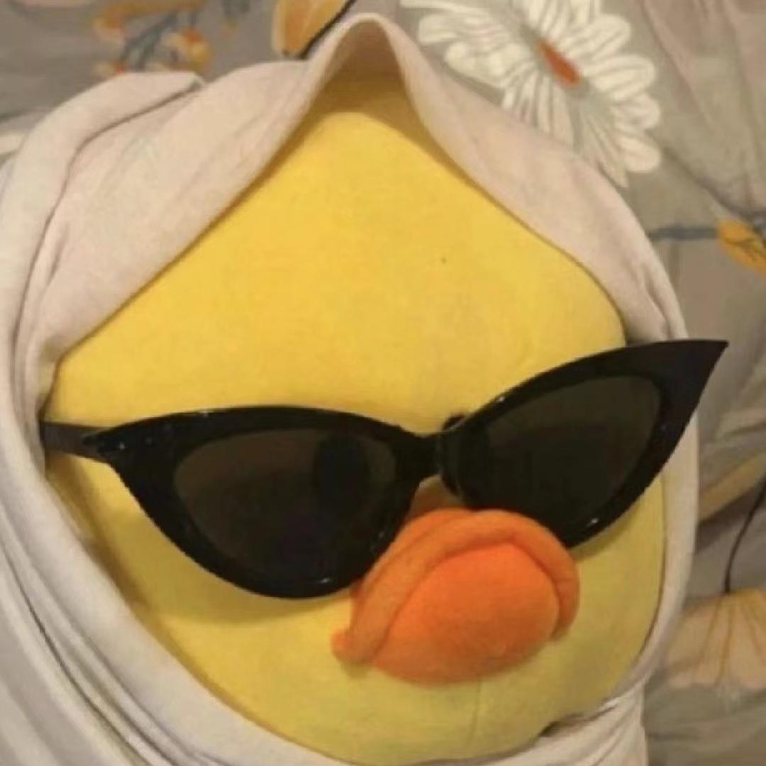 💤💤