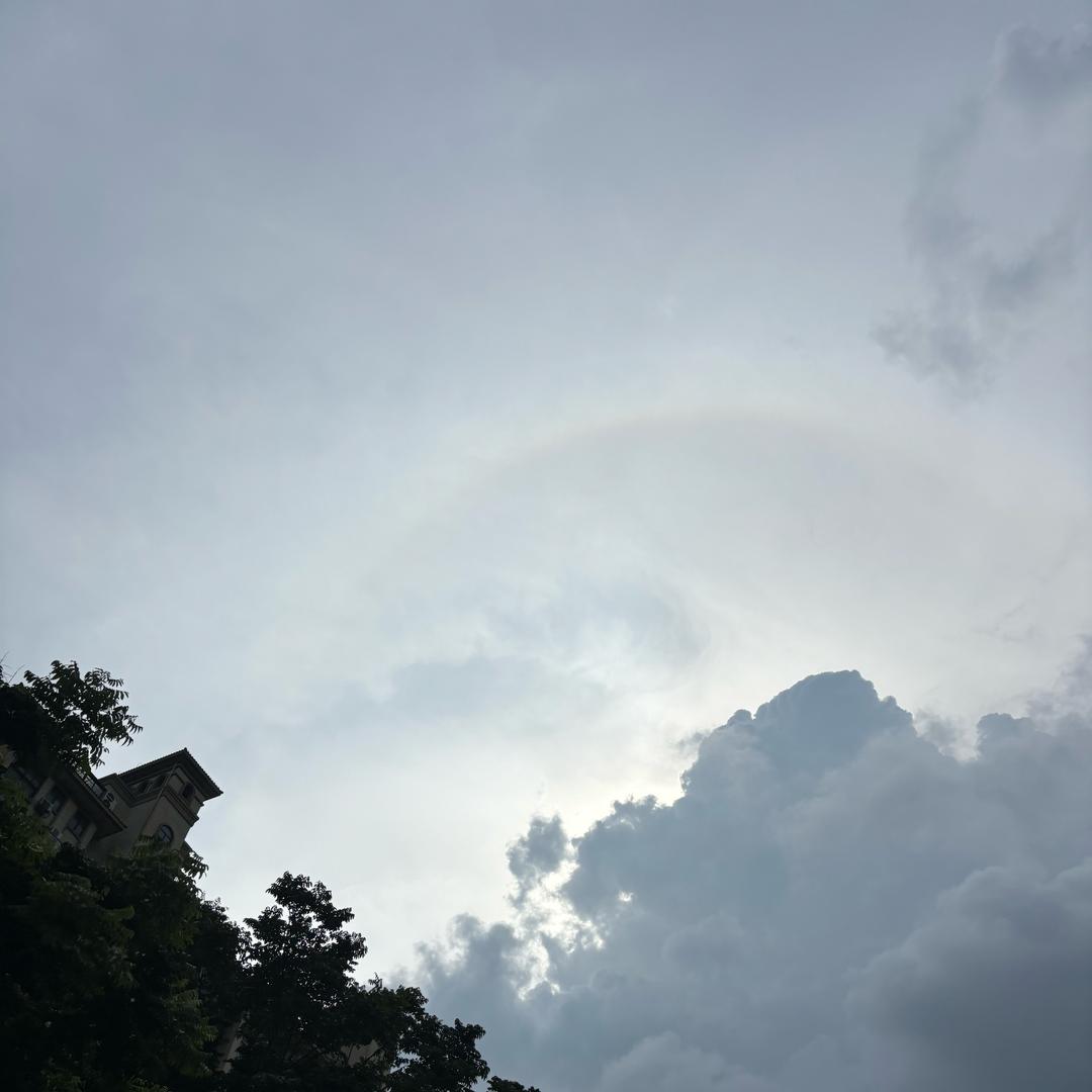 小Z严选呀