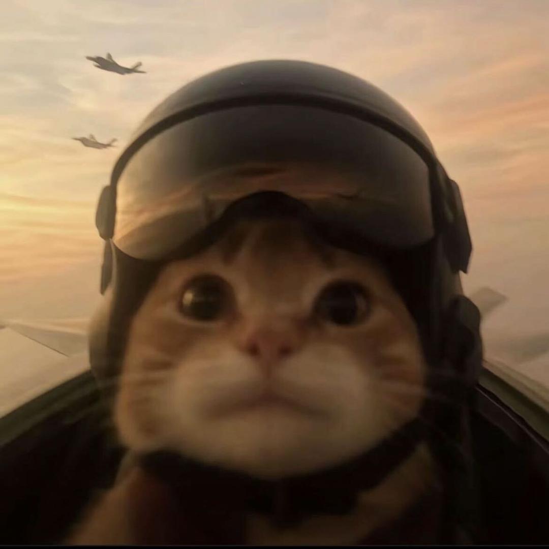 啊花（三角洲代肝）